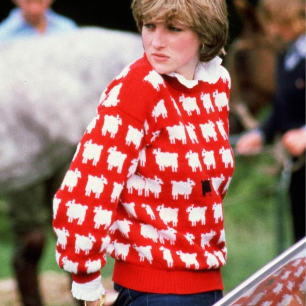Warm & Wonderful & Rowing Blazers Black Sheep Red Large Sweater Princess Diana